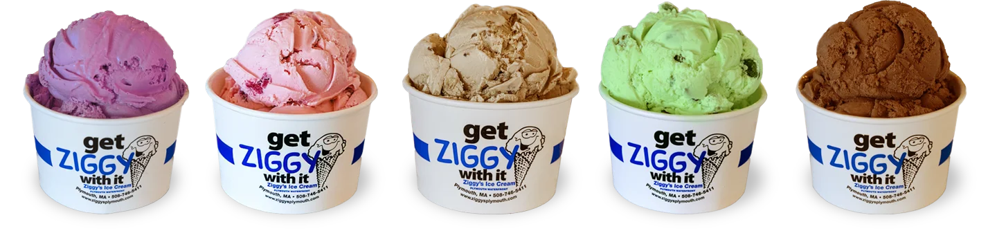 Ziggys-Ice-Cream-Cups-5up-hero